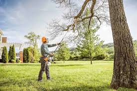 Best Tree Trimming and Pruning  in Kendall Park, NJ