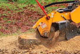 How Our Tree Care Process Works  in  Kendall Park, NJ