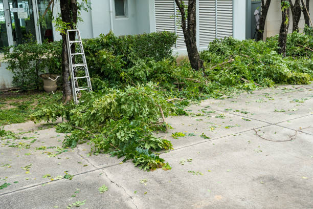 Best Tree Preservation Services  in Kendall Park, NJ