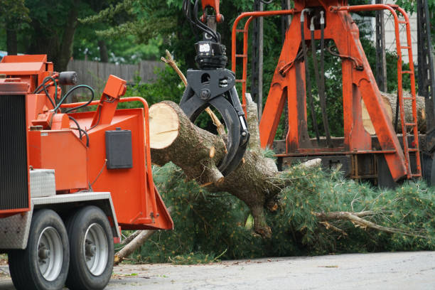 Best Grass Overseeding  in Kendall Park, NJ