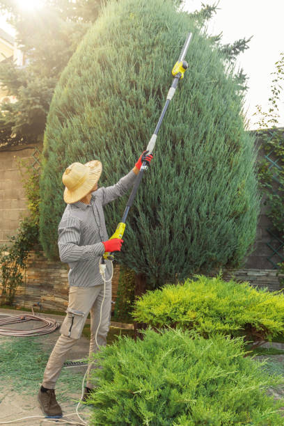Best Tree Risk Assessment  in Kendall Park, NJ